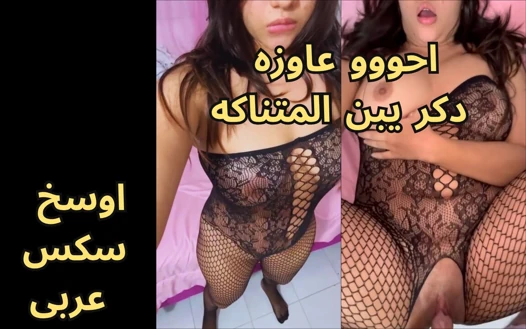 Mais quente árabe egípcia Sharmota Muçulmana Esposa kolo fi kosi ya waled