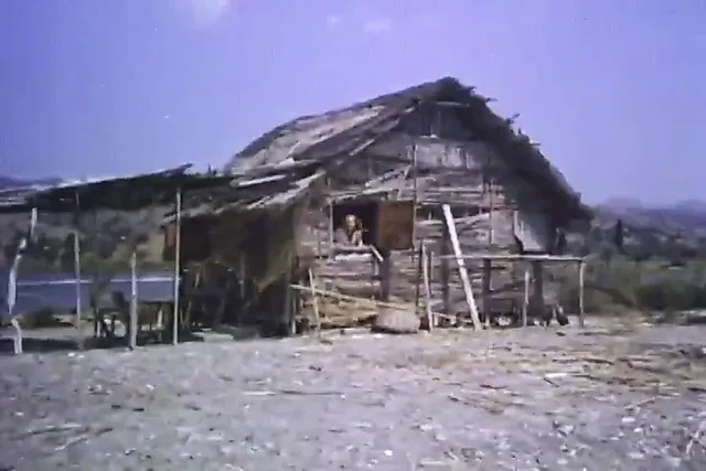 Радость дурачиться (1978, фильм целиком, лучшего качества)