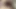 A butt plug in my ass and a dick with a vibrator in my pussy, I'm an insatiable mommy
