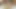Sevimli ve genç pi ladyboy masturbasyon yapmak
