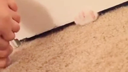 Alexandra Daddario seksi ayaklar