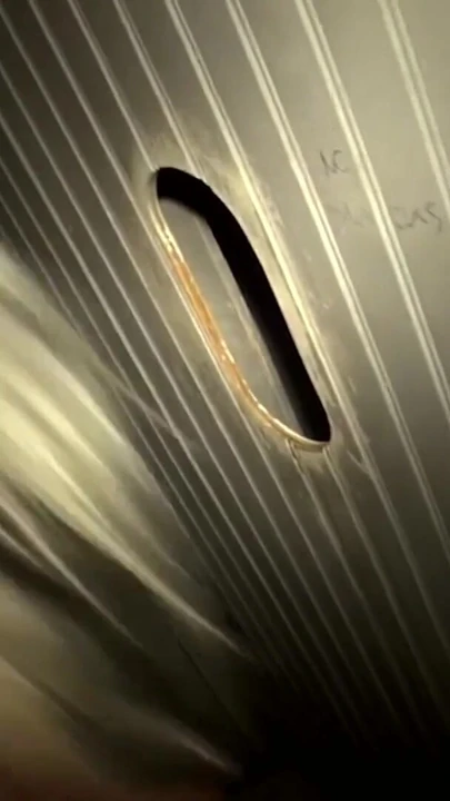 Незабываемый момент из "Шлюшка-жена и сирена у глорихола"