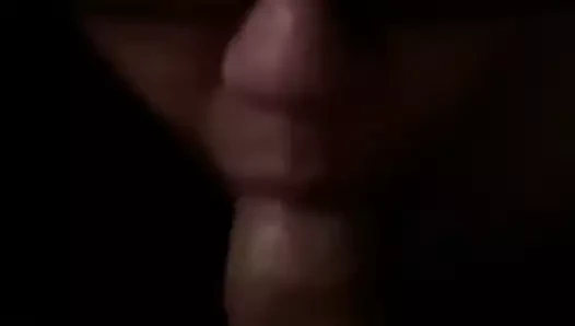 Ekim pt'de büyük beyaz horoz emme. 2