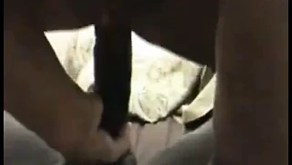 onu ilk uzun siyah horoz