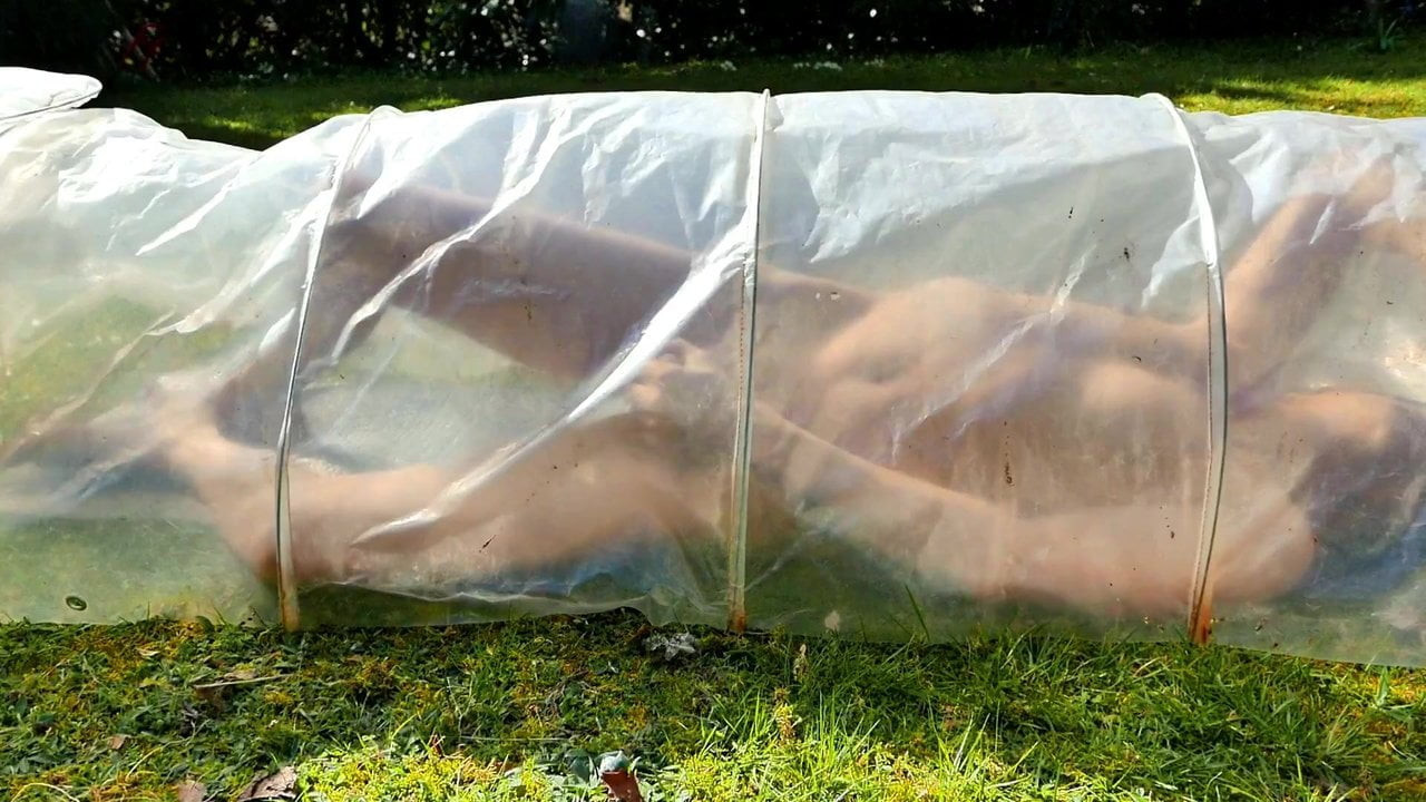 dans le jardin