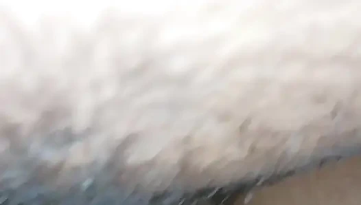 Pareja mallu follando la anoche