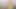 Mükemmel bir kaltak için mükemmel bir horoz!!! - cilt 01 - (altın