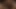 The Reveal