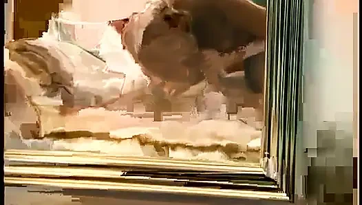 Ateşli memeler tatlım Shawna yatakta güzel yarağı emiyor ve sikiyor