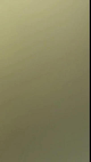 Sextape anal avec son ex