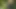 Viele Schwanze fur die junge Schlampe - Episode 1