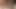 alma raw bbc içinde benim korkak KEDİ