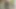 Maya_Dahlia videosu