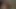 Dildo ve kıçındaki parmaklar + kedideki şişe