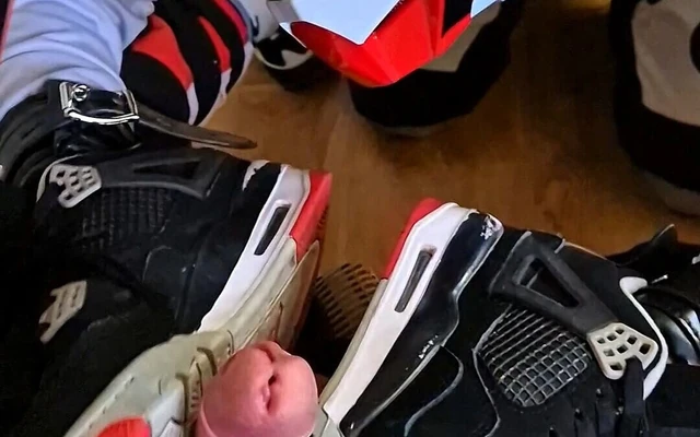 Köpek yavrusu kemiğimle oynuyor ve üzerinde emiyor