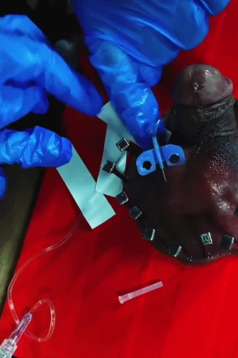 Dominatrix sahibe April - onu düzelt xhv