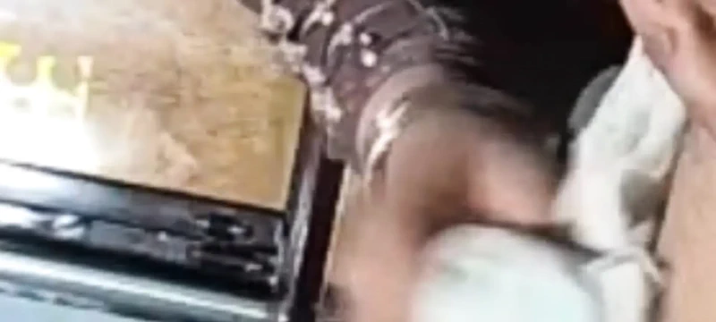 Hintli kadın büyük yaraklı bir makine gibi sert sikişiyor