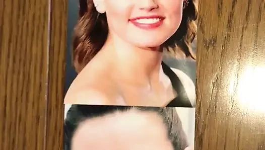 haraç papatya ridley