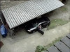 Video ön izlemesi