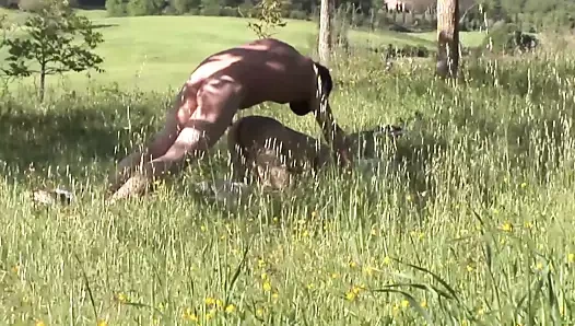 La radura del peccato