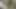 Yarak seven genç kız erkek arkadaşının sert sikini götten memnun ediyor