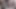 Nergis fahişe amcığını esnetiyor