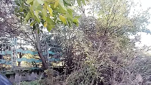 Sonbahar çıplaklığı