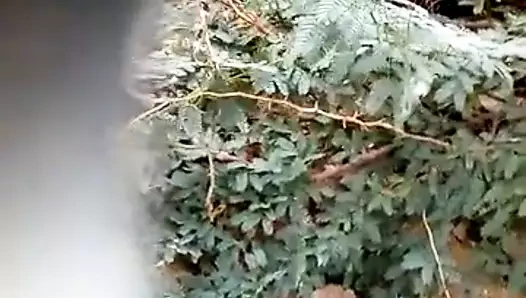 Desi yenge ve dever seks içinde hint orman...