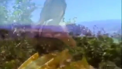 Sıcak milf victoria jacobs