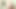 Asyalı sürtük Ayumu Ishihara tek başına, xxx Japon porno deneyimini incelemek için hazır - sansürsüz ve