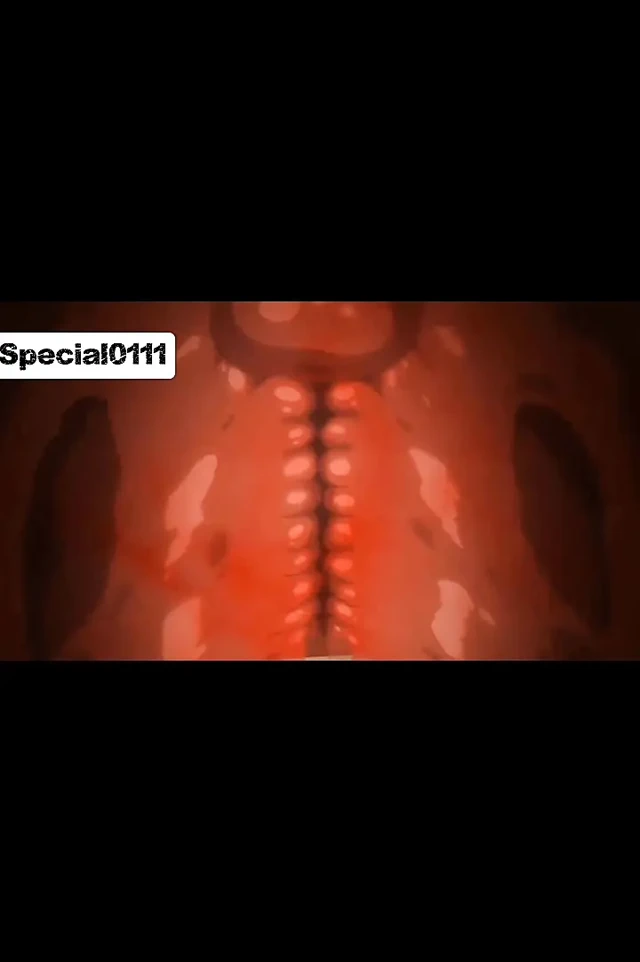 Azgın anime ve erkek arkadaşı