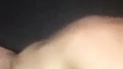 dokunmadan onu küçücük arap kedi