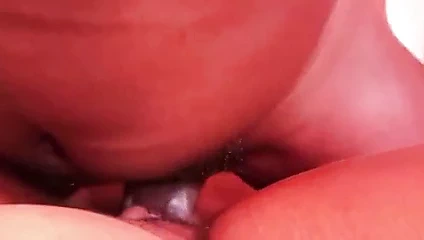 Kremsi siyah kedi seviyor bbc