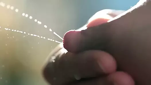 ağır çekimde sağım norveç baştankara