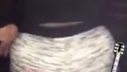 Büyük götlü olgun