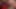 Cassie Young ve Jasmine Lau ile grup seks birden fazla yarakla sikilmeyi seven pürüzsüz amcıklı iki orta yaşlı seksi fahişe