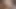 Olgun götlü Eve Laina, bu orta yaşlı seksi kadın komşunun sert yarağını istiyor.