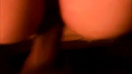 Doggy - çanta (özel sürüm)