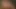 Seksi Asyalı memelerini siktiriyor ve sıkı deliğini de sikiyor