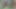 Minik Asyalı ilk kez porno [geçiş]