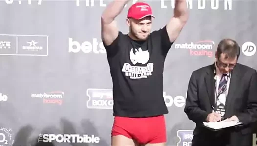 Büyük şişkin boksörler