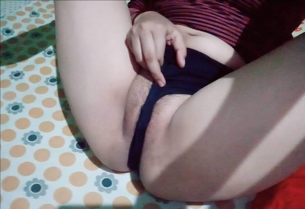 Kedi