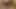 Hd ateşli Japon fışkırtma videoları ile en vahşi fantezileri ortaya çıkarın