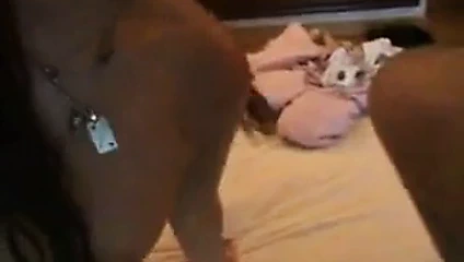 İspanya'dan kızıl saçlı