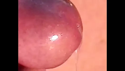 gerçek yakın twinks