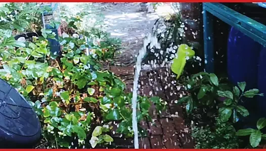 faphouse stüdyolarında Sarah fonteyna waterig