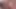 Tombul zenci orta yaşlı seksi kadın havuz oyunundan sonra iki yarağın tadını çıkarıyor