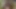 My Desi sexy Bhabhi gets very happy to fucking with me