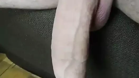 benim Alman büyük horoz