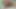 Bu eşcinsel boyz kanepede en iyi seksi nasıl yapacağını gerçekten biliyor